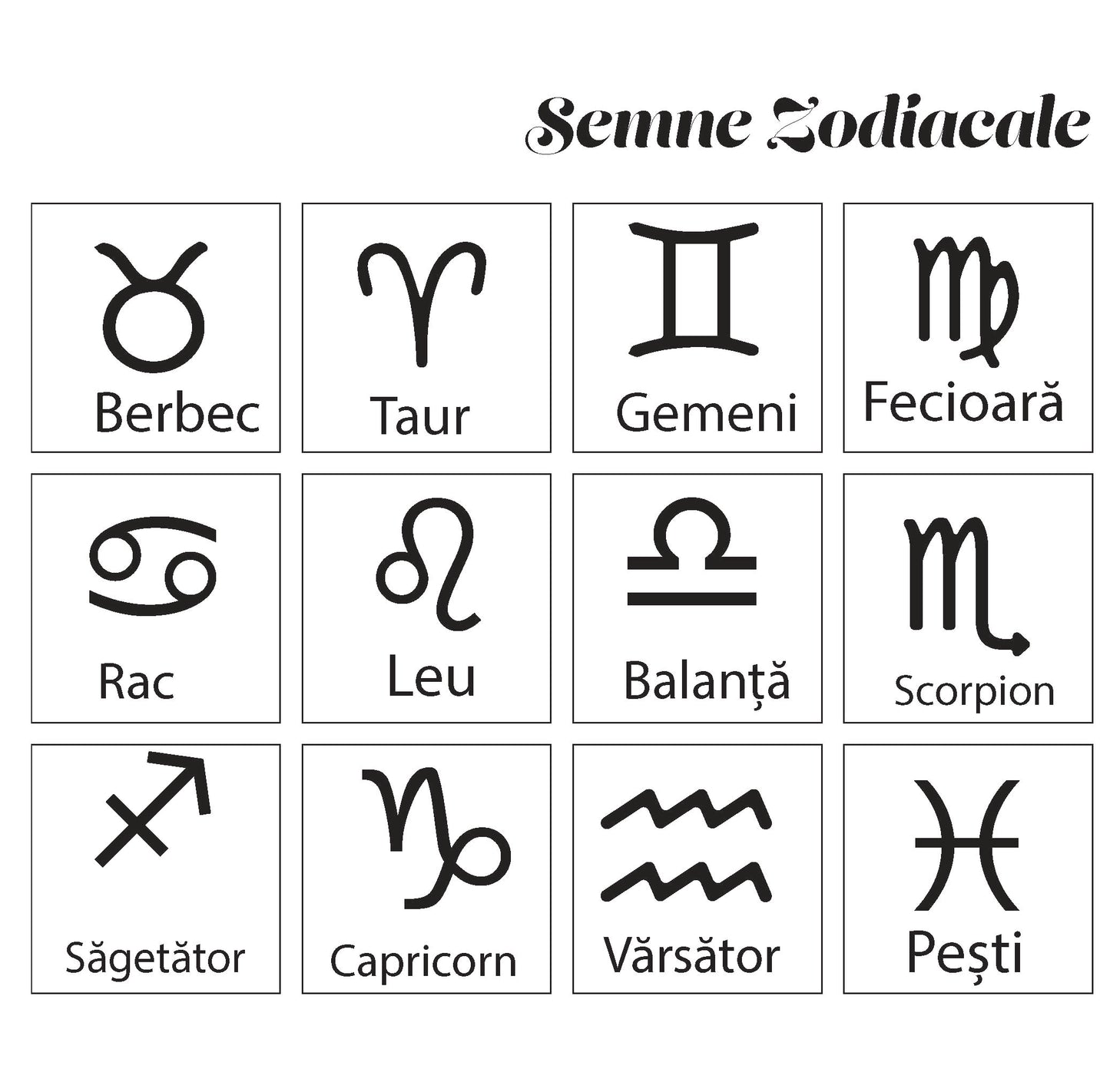 Cuțit de pâine cu arc zimțat - Platera Romania