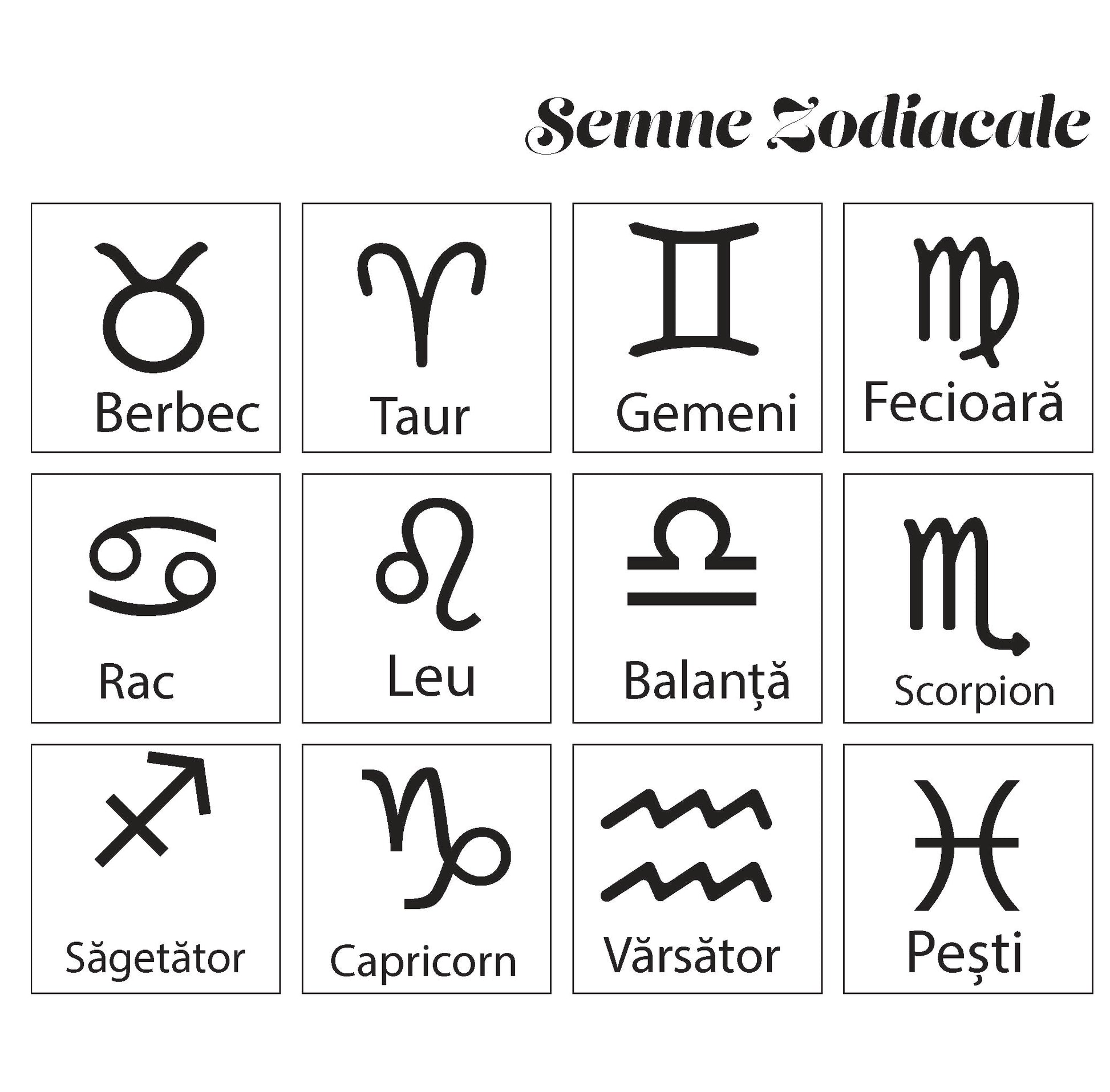 Cuțit de pâine cu arc zimțat - Platera Romania