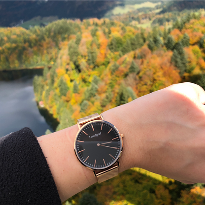 Elegant watch with mesh strap