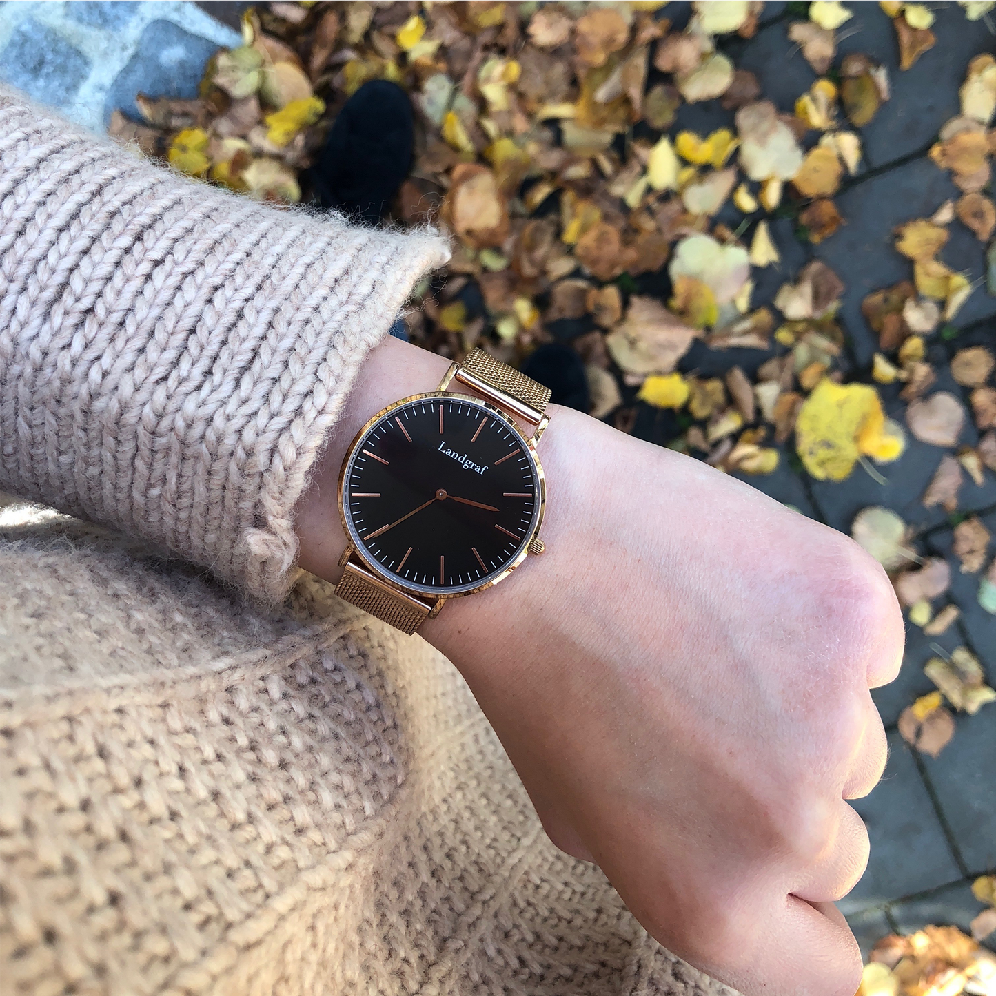 Elegant watch with mesh strap